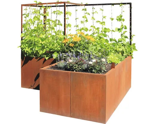 Set răsadniță Palatino Urban cu spalier oțel corten 300x100x183 cm incl. sârmă și cleme buc