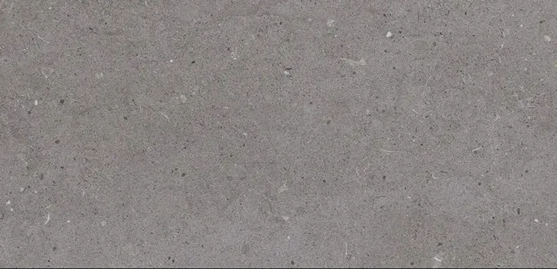 CALIFORNIA GREY R11 30X60