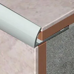 Bagheta semirotunda aluminiu eloxat a=10mm l=2.5m argintiu satinat LRT105.81