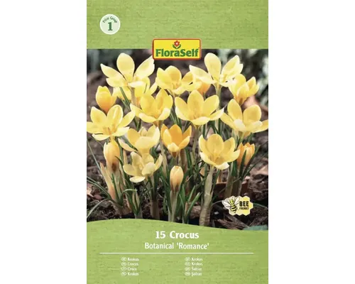 Bulbi de flori FloraSelf brândușe Romance 5/7 15 buc.