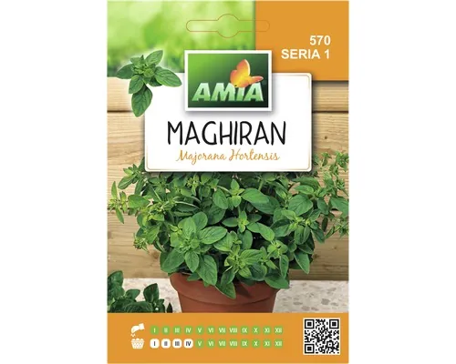 Semințe de măghiran Amia buc