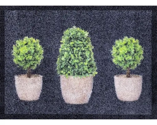 Covoraș intrare Creation Garden antracit 50x70 cm buc