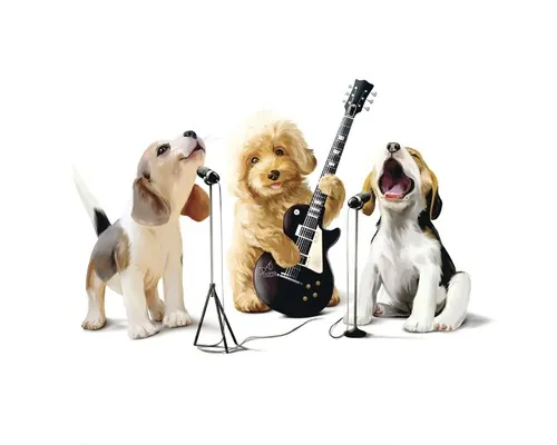 Tablou canvas Puppy Stars 60x60 cm buc