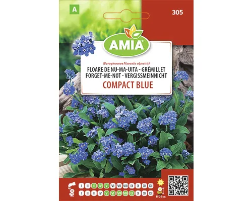 Semințe flori Amia floare de nu-mă-uita Myosotis Alpestris buc