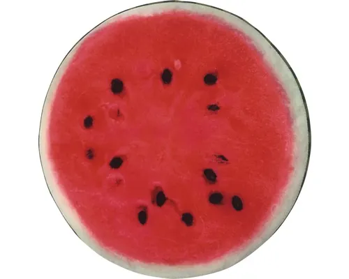 Pernă scaun Solevito Velvet Watermelon Ø 40 cm buc