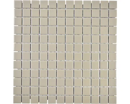 Mozaic piscină ceramic CG 194 maro mat 30x30 cm buc