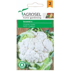 Seminte conopida snowball x pg2 Agrosel