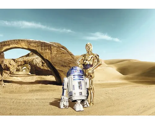 Fototapet hârtie Komar 8-484 Disney Edition 4 Star Wars Lost Droids 368x254 cm buc