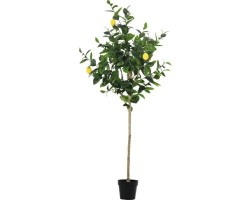 Copac artificial lămâi Lafiora în ghiveci H 180 cm verde buc