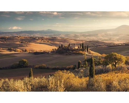 Fototapet vlies Komar PSH094-VD4 Pure Toscana Gold 400x250 cm buc