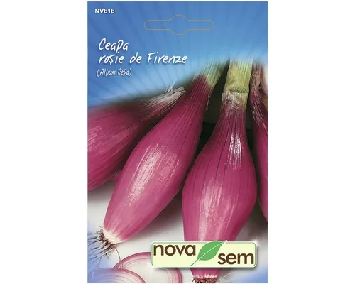 Semințe legume Novasem ceapă roșie de Firenze Novasem buc