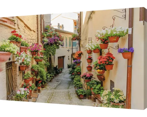 Tablou exterior Mușcate în jurul casei 77x117 cm buc