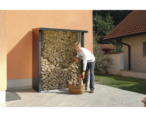 Suport pentru lemne de foc Biohort WoodStock 150 metal 157x102x199 cm gri închis metalizat buc
