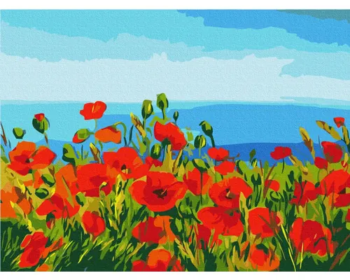 Pictură pe numere Field of Poppies 30x40 cm buc