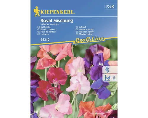 Semințe flori Kiepenkerl Lathyrus royal buc