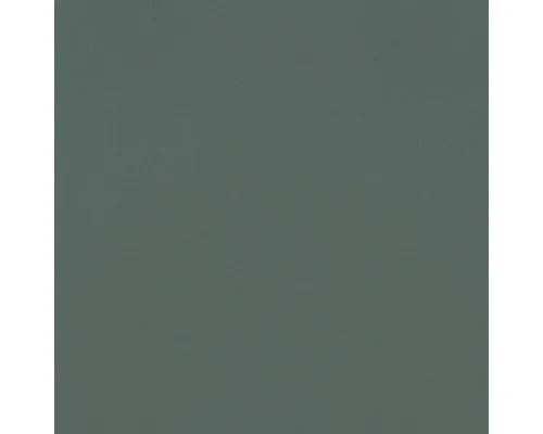 Tapet vlies Rasch 690750 Rhapsody uni verde 10,05x0,53 m rola