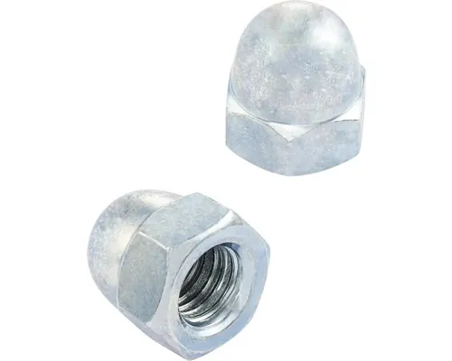 Piulită hexagonală infundată Reyher M20 DIN 1587, oțel inoxidabil, 25 bucăți / pachet pac