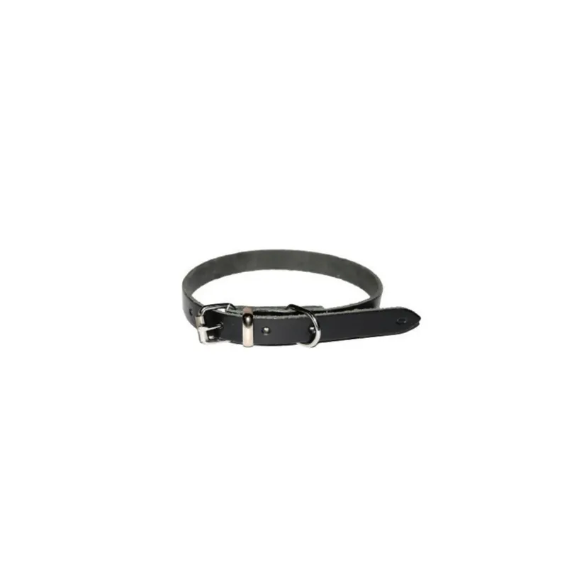 Zgarda caini, simpla, negru, 12/360 mm buc