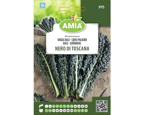 Semințe legume Amia varză Kale Nero di Toscana buc