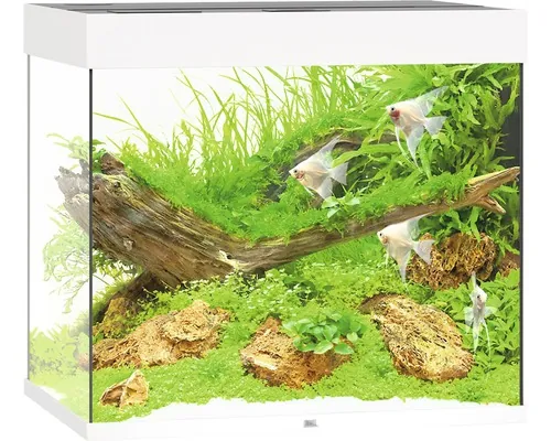 Acvariul JUWEL Lido 200 iluminare cu LED, pompă, filtru, încălzitor, fără dulap inferior, alb buc