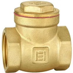 Supapa sens cu clapeta alama 1" STT11 Everpro