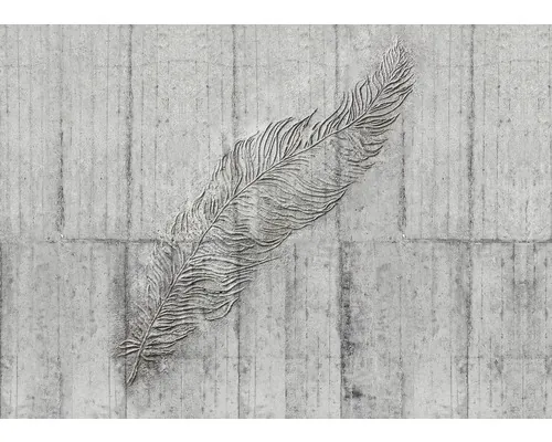 Fototapet vlies Komar X7-1023 Concrete Feather 350x250 cm buc