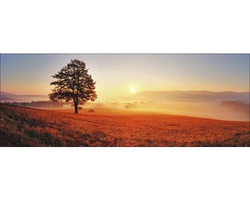 Tablou sticlă Pure Living Lonely Tree 50x125 cm buc