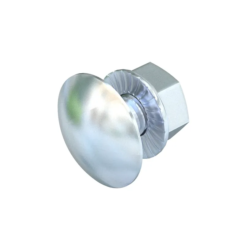 Surub cap rotund FRSB 6 x 20 F 6406203, otel, M6 x 20 mm buc