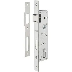 Broasca incastrata 30x85 pentru usa metalica 492273 Thirard