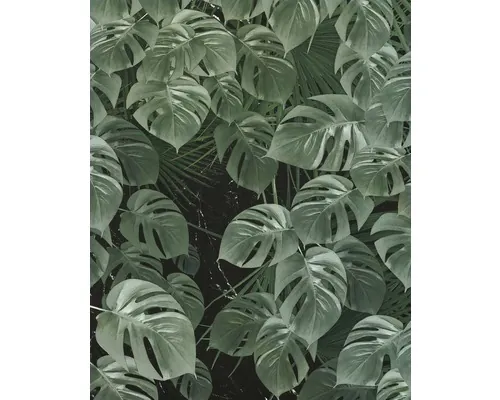 Fototapet vlies Komar P035-VD2 Monstera on Marble 200x250 cm buc
