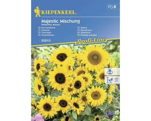 Semințe flori Kiepenkerl de floarea soarelui Majestic buc