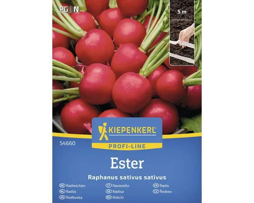 Semințe legume Kiepenkerl ridiche Ester buc