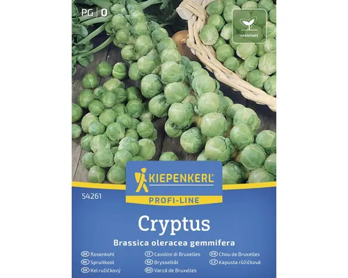 Semințe legume FloraSelf varză de Bruxelles Cryptus buc