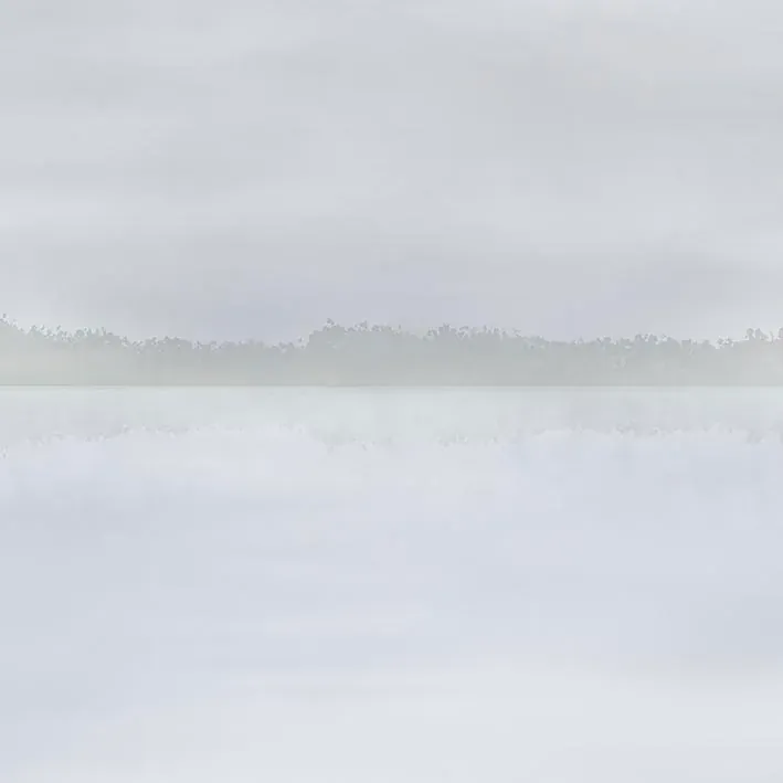 SKINS MURAL RIVER SILVER (V) 280X390