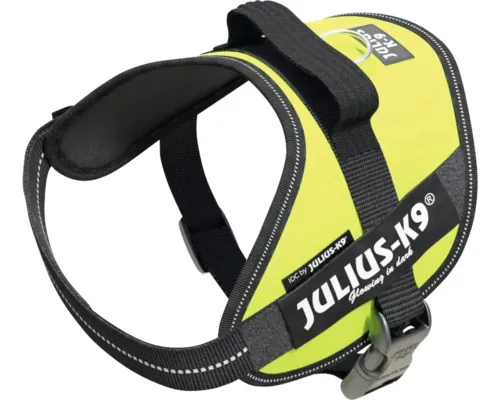 Ham JULIUS-K9 IDC Powerharness mărimea XS 40-53 cm neon buc