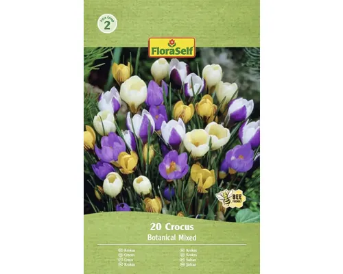 Bulbi de flori FloraSelf brândușe sălbatice mix 5/7 20 buc.