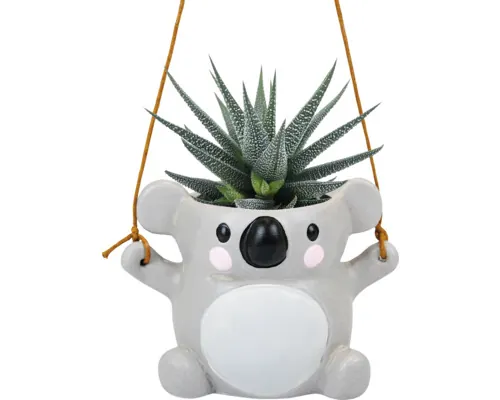 Plante suculente FloraSelf ghiveci Ø 6 cm buc