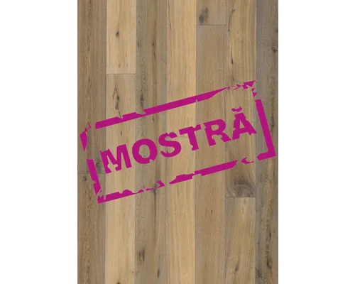 Mostră pentru produsul numărul 6606901 buc