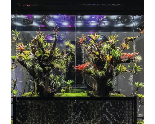 Terariu automatizat cu plante tropicale tip perete despărțitor 220x80x120 cm buc