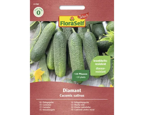 Semințe legume FloraSelf Select castraveți de murături buc