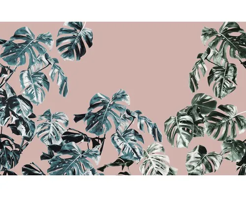 Fototapet vlies Komar P016-VD4 Pure Monstera Rosé 400x250 cm buc
