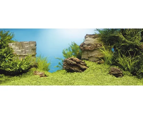Poster perete posterior acvariu, Juwel, plante/stânci 60 x 30 cm buc