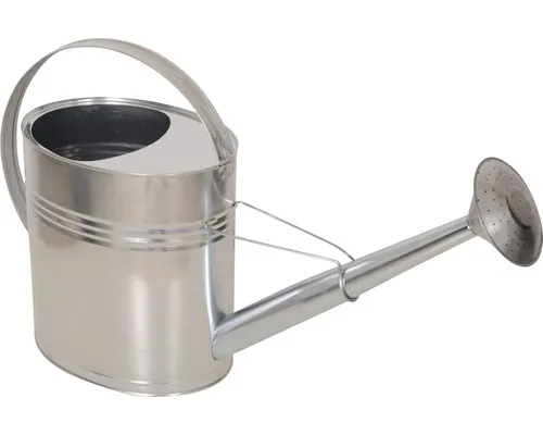Stropitoare, zinc, 10 l, argintie buc
