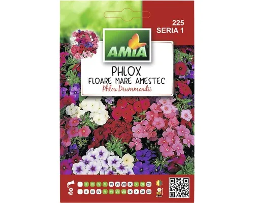 Semințe flori Amia Phlox floare mare amestec buc