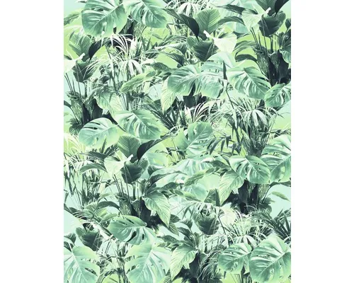 Fototapet vlies Komar P023-VD2 Evergreen 200x250 cm buc