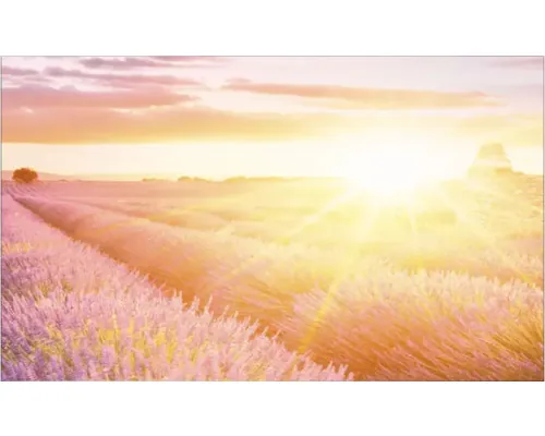 Panou bucătărie mySpotti Profix Provence câmp lavandă aluminiu compozit 100x60 cm buc