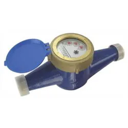 Contor multijet apa rece 1" R160 exterior Gobe Smart