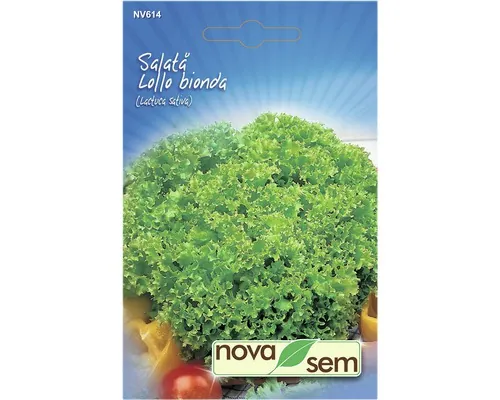 Semințe de salată Novasem Lollo Bionda buc