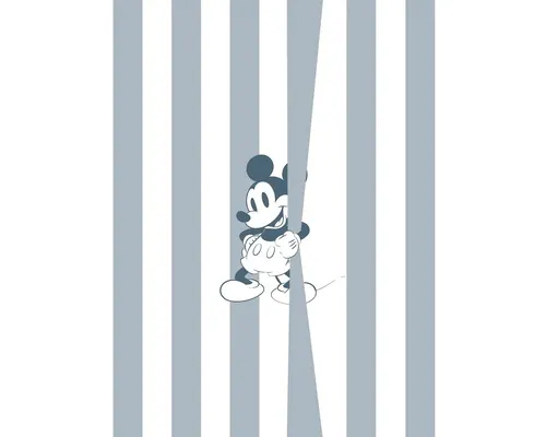 Fototapet vlies Komar 060-DVD2 Into Wonderland Mickey Offbeat 200x250 cm buc