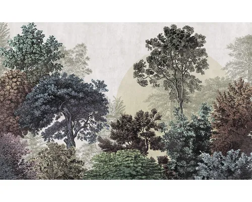 Fototapet vlies Komar LJX8-058 Le Jardin Bois Brumeux 400x250 cm buc